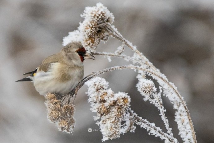 Фото: Андрей Зайченко
