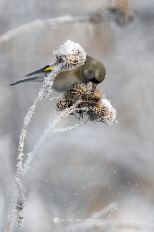 Фото: Андрей Зайченко