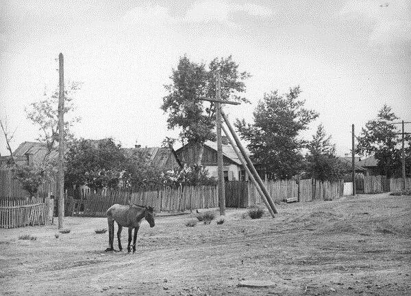 Фото: Администрация Абакана 