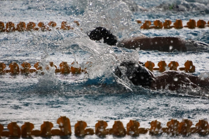 Фото: Администрация Абакана 