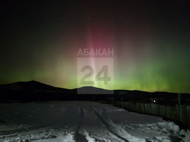 Фото: Абакан24 / Telegram 