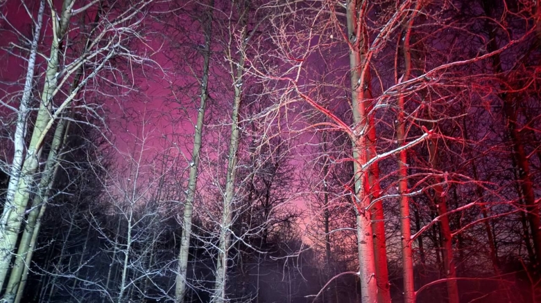 Фото: «Ласковый спецназ» / Telegram