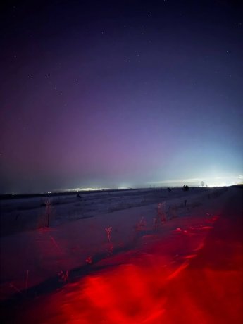 Фото: «Ласковый спецназ» / Telegram