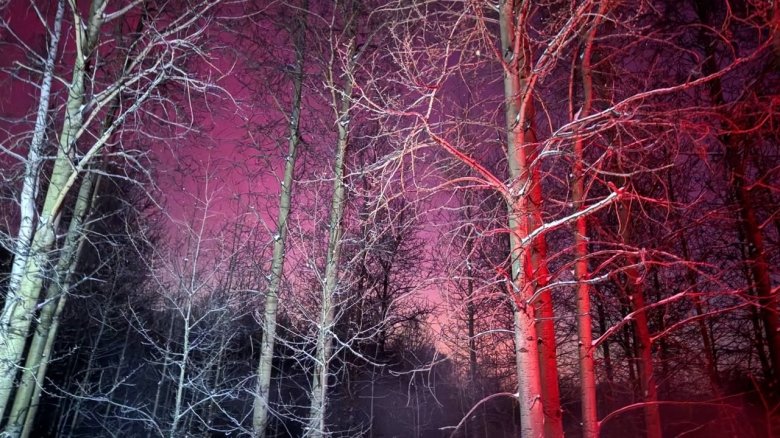 Фото: «Ласковый спецназ» / Telegram