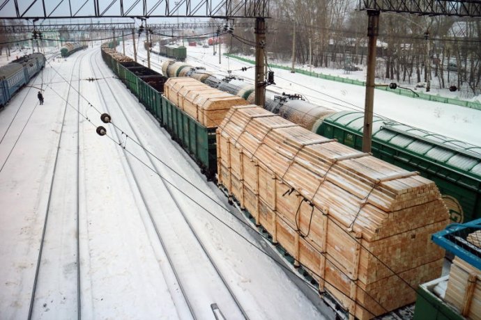 Фото: Россельхознадзор по Хакасии