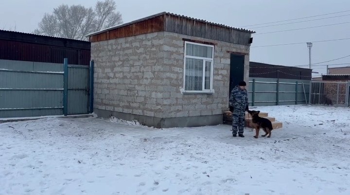 Фото: Стопкадр видео Управления на транспорте МВД России по СФО