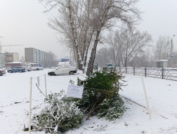 Фото: Минприроды Хакасии 