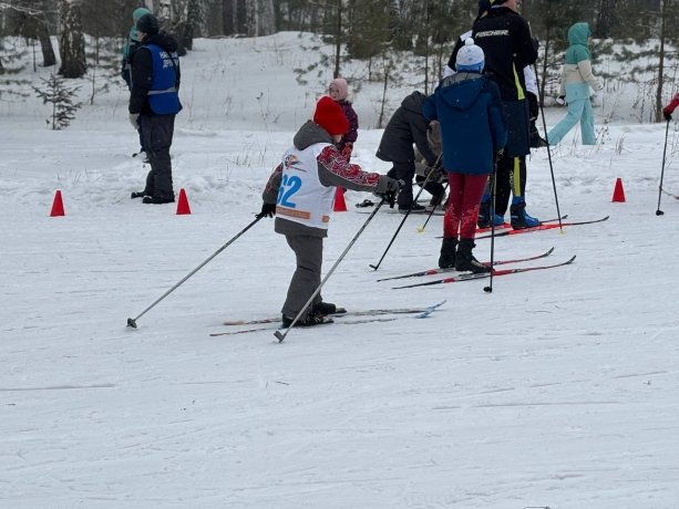 Фото: Первое городское 
