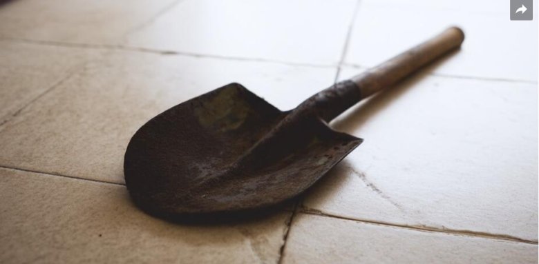 Фото: РЕН ТВ