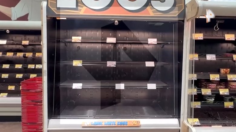 Фото: стоп-кадр Видео: © РЕН ТВ