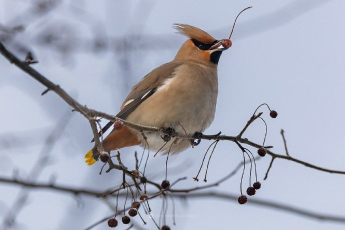Фото: Андрей Зайченко