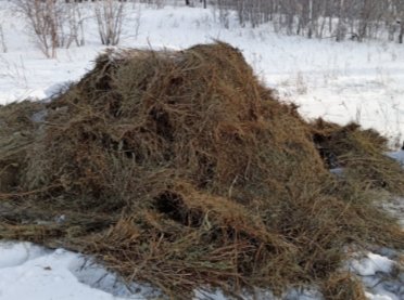 Фото: Минприроды Хакасии