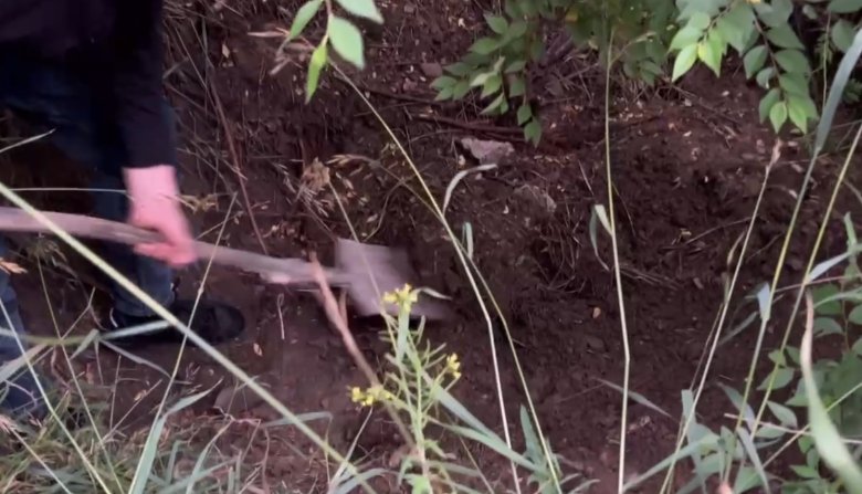 Фото: Стопкадр видео СУ СК России по Красноярскому краю и Хакасии