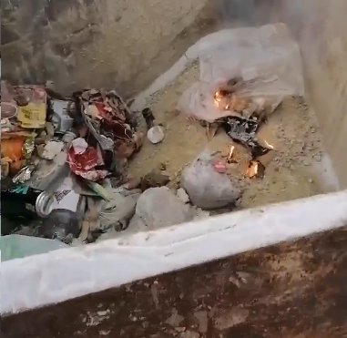 Фото: Стопкадр видео Минприроды Хакасии