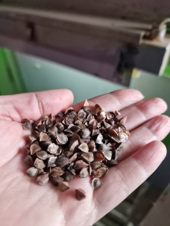 Фото: Наталья Лобкова