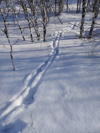 Фото: Дирекция ООПТ Хакасии
