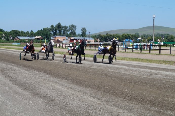 Фото: Минсельхоз Хакасии 