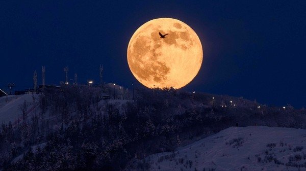 Фото: © РИА Новости/Сергей Красноухов