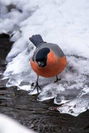 Фото: Андрей Зайченко