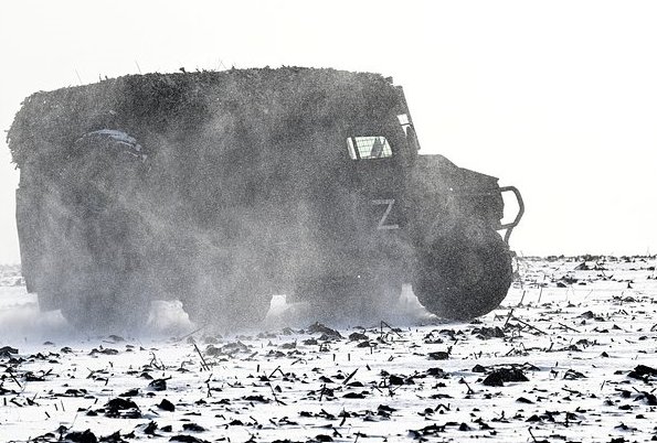 Фото: Евгений Биятов / РИА Новости
