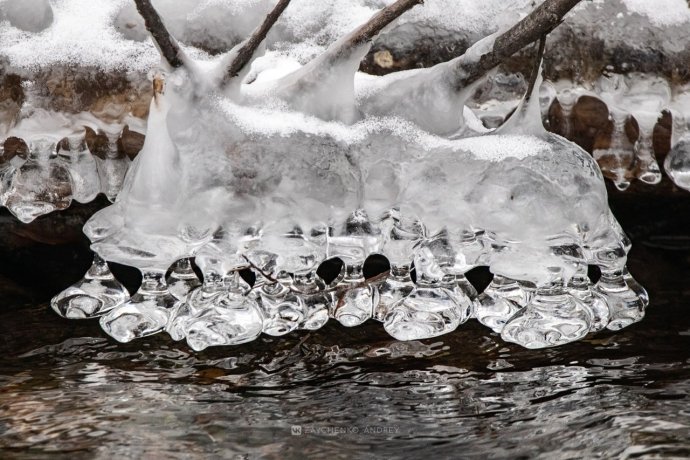 Фото: Андрей Зайченко 