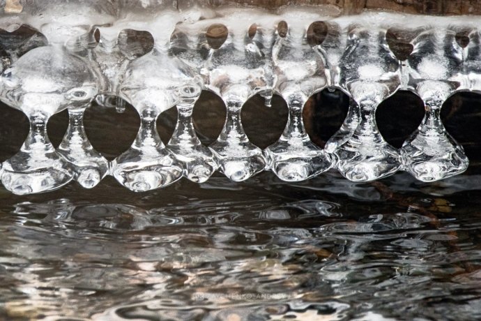 Фото: Андрей Зайченко 