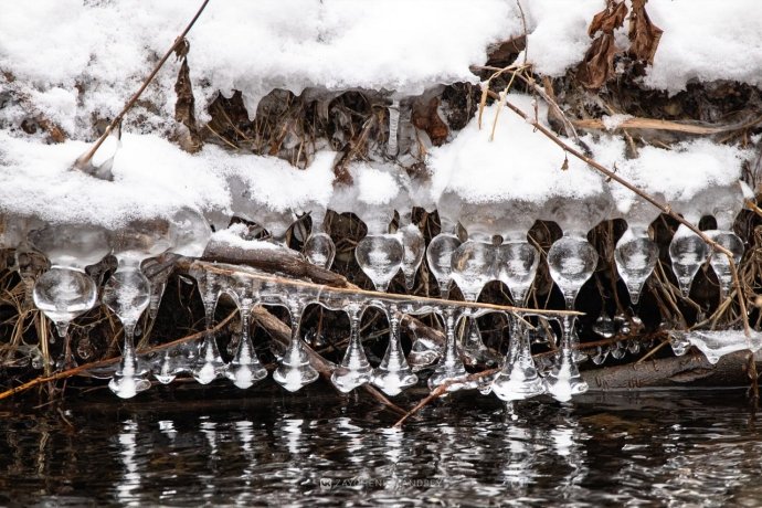 Фото: Андрей Зайченко 