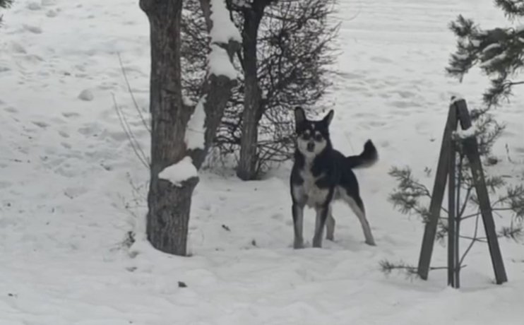 Стоп-кадр видео из Тг-канала «Город ждет перемен»