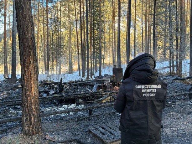 Фото: СУ СК России по Красноярскому краю и Хакасии 