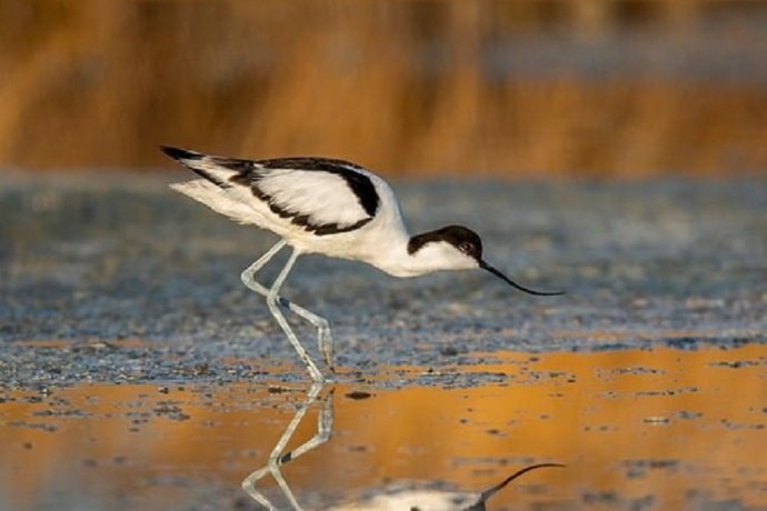 Фото: А. Макеев