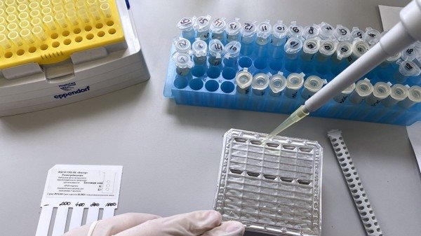 Фото: © РИА Новости