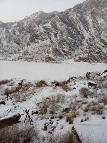 Фото: Н. Верьясова, Р. Афанасьев