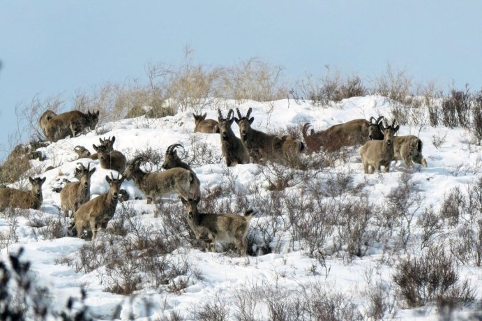 Фото: Н. Верьясова, Р. Афанасьев