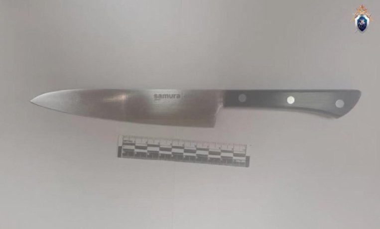 Фото: СУ СК по Красноярскому краю и Хакасии