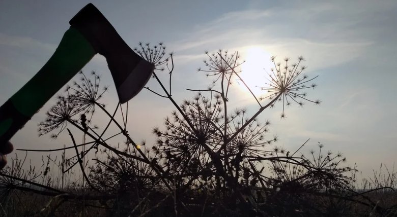 Фото: Вера Тюкалова, Коммерсантъ