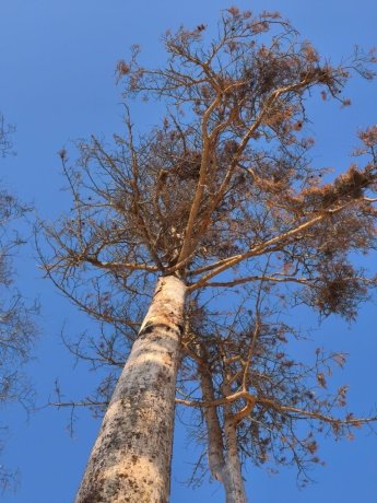 Фото: Александр Жигалов