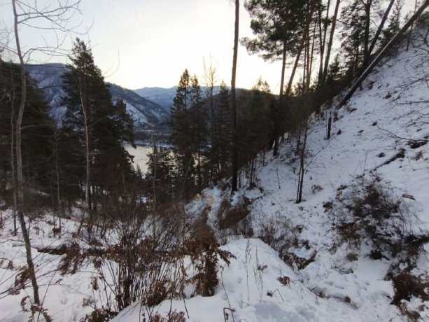 Фото: Александр Жигалов