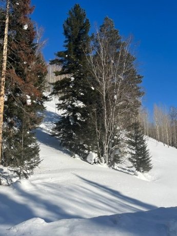 Фото: Сергей Сокол