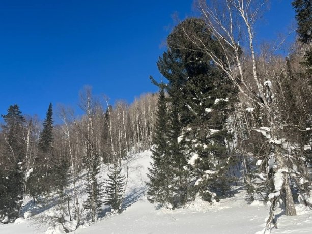 Фото: Сергей Сокол