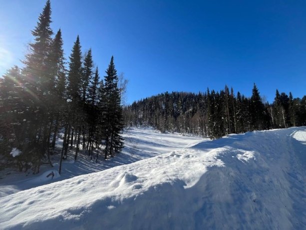 Фото: Сергей Сокол
