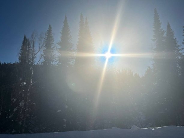 Фото: Сергей Сокол