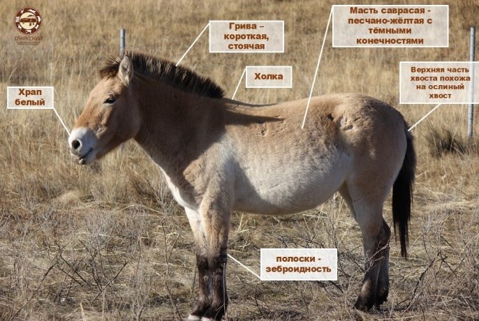 Фото: Ульяна Потылицына 