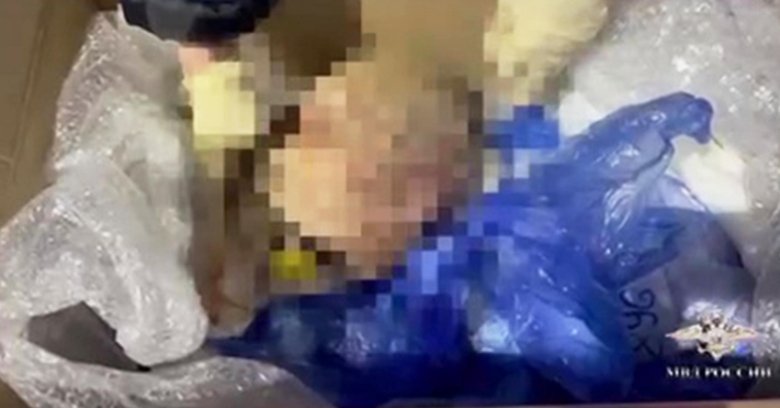 Фото: spb_police78 / t.me