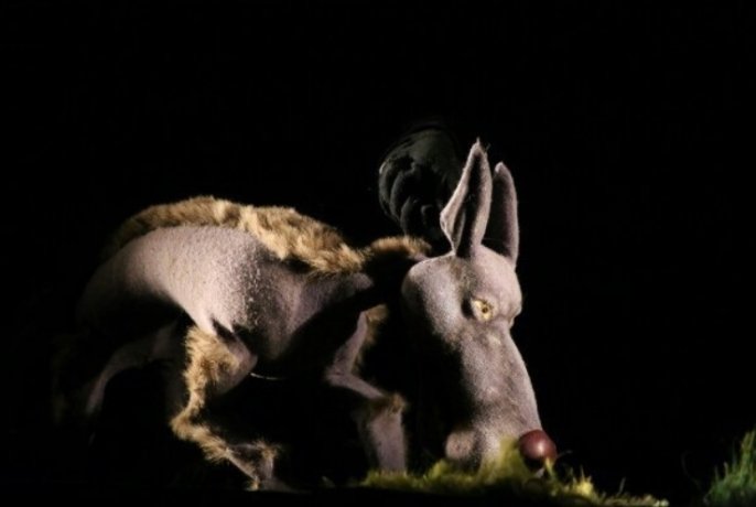 Фото: театр кукол "Сказка"