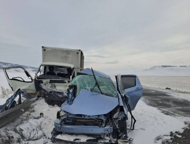 Фото: Госавтоинспекция Красноярского края 