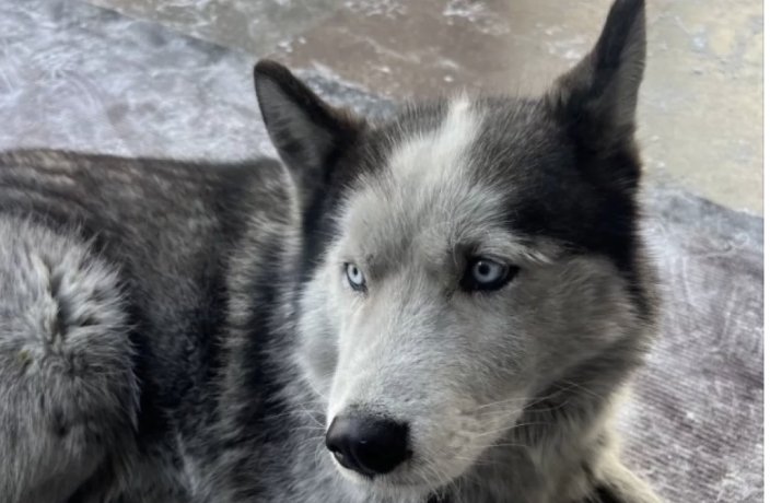 Фото: ТуваМедиаГрупп