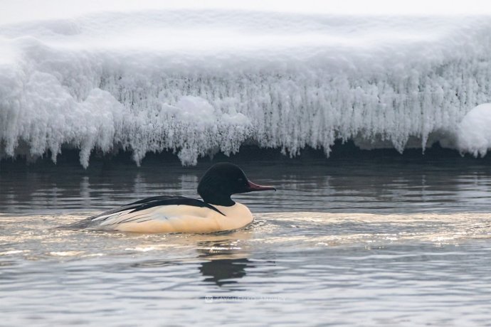 Фото: Андрей Зайченко
