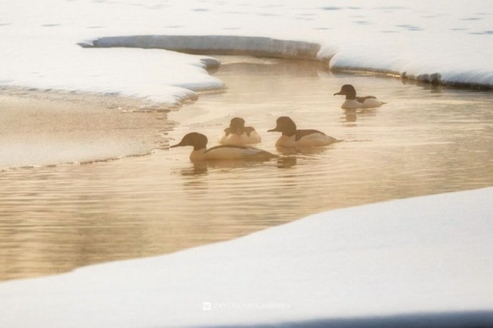 Фото: Андрей Зайченко