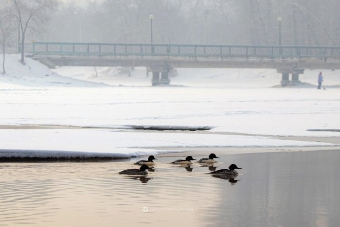 Фото: Андрей Зайченко