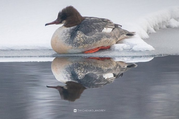 Фото: Андрей Зайченко